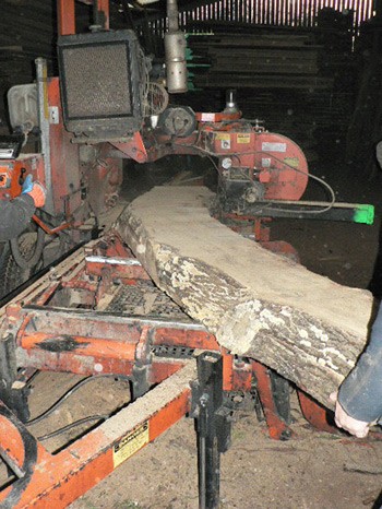 Woodmizer Saw Mill - Interesting Timbers